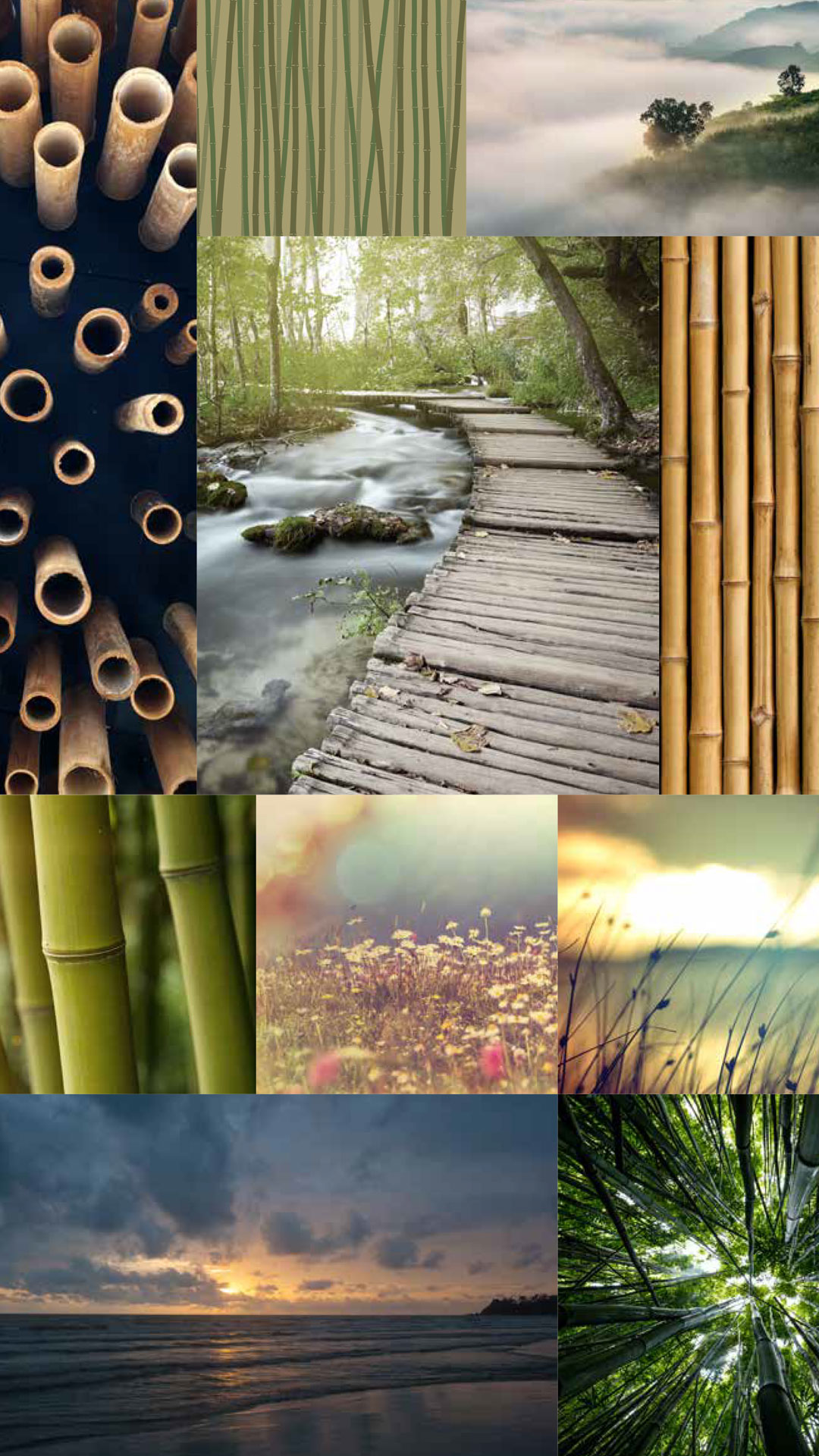 Bamboo collection inspired by nature