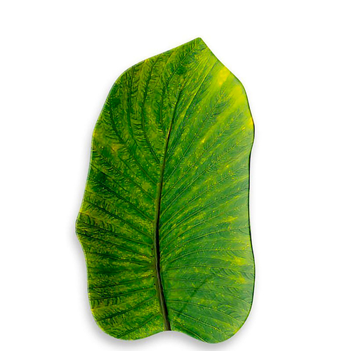York Green Tray, 37,6cm, Melamine