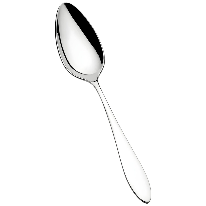 Vista Alegre Table Spoon Linea Stainless Steel 20.9 cm - Vista Alegre - 5604413001026