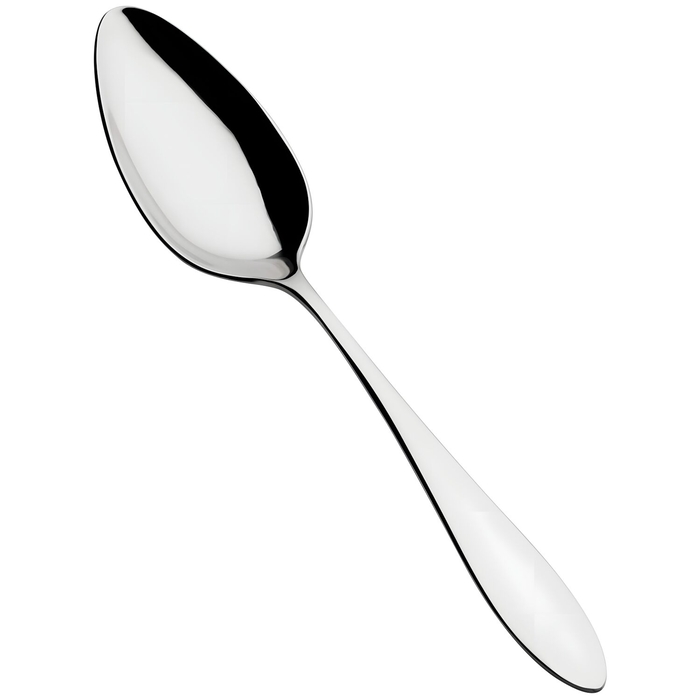 Vista Alegre Serving Spoon Linea Stainless Steel 23.6 cm - Vista Alegre - 5604413005055