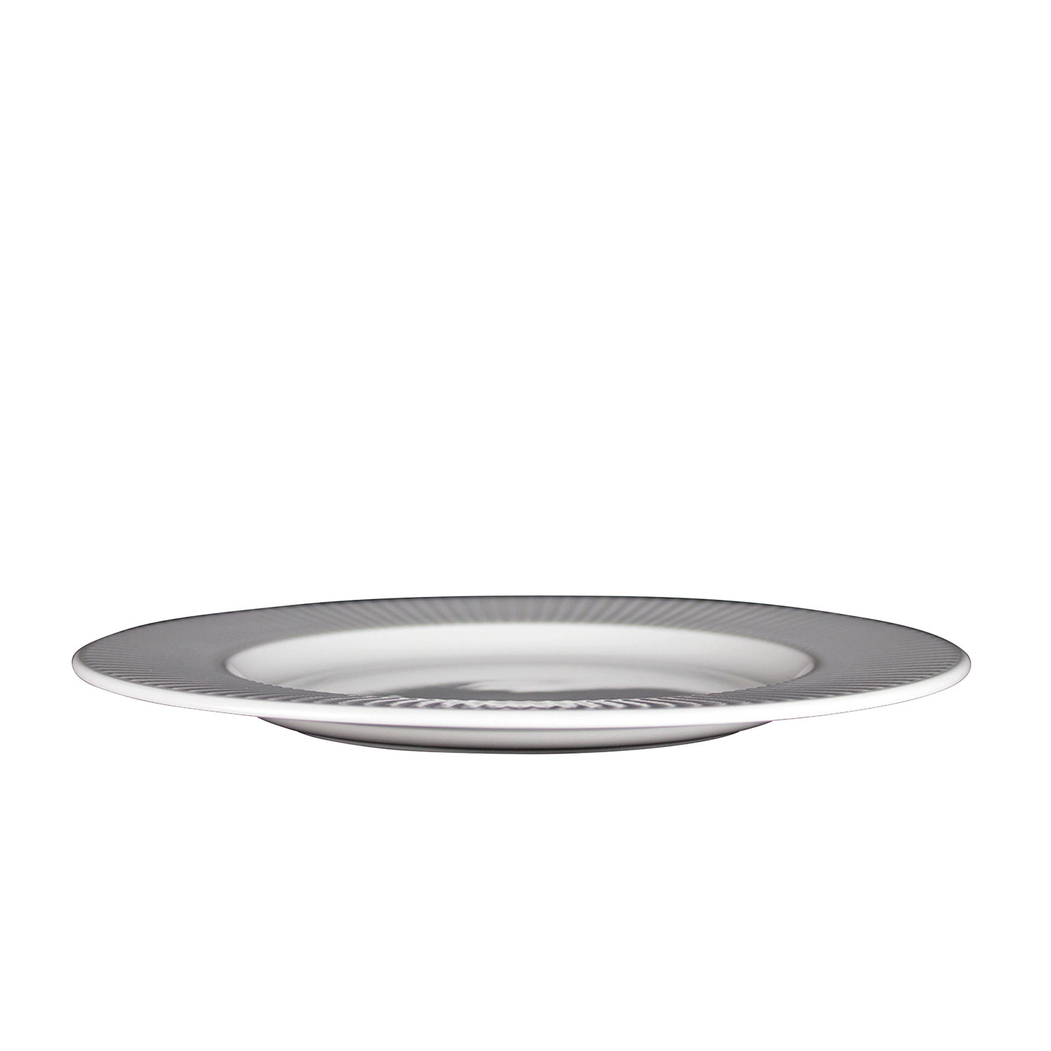 Dinner Plate Willow 20cm, vitrified Porcelain - Steelite - 5018461542156
