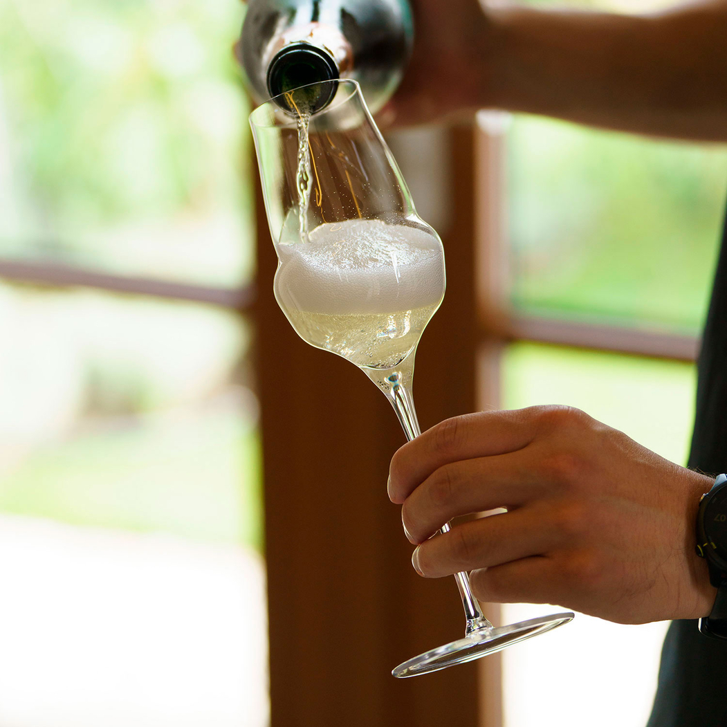 6 Cocoon 340ml flutes - Stölzle Lausitz - 5602737104720