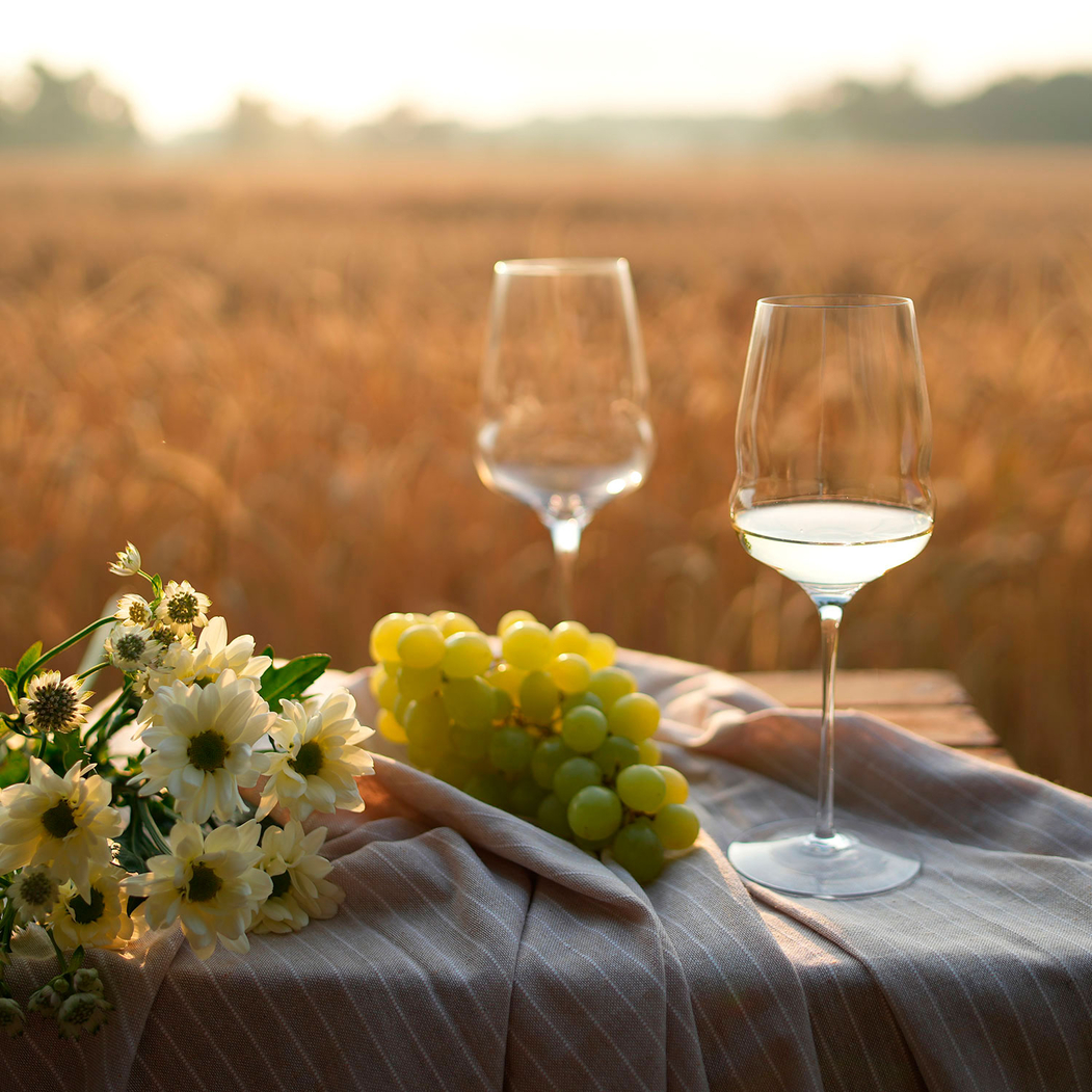 Set of 6 Cocoon white wine glass 484ml - Stölzle Lausitz - 5602737104737