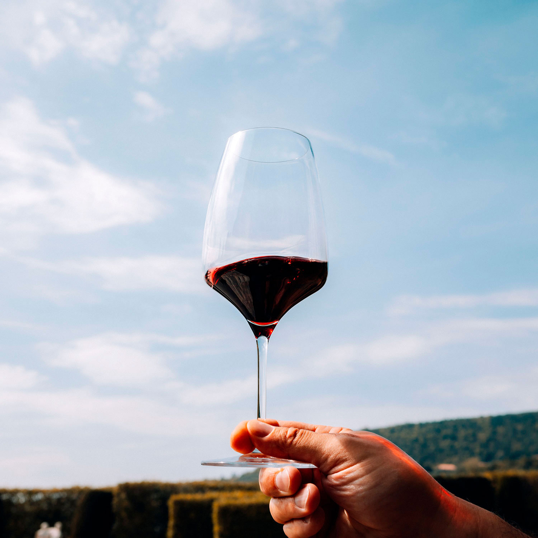 6 Copos Bordeaux Experience 650ml - Stölzle Lausitz - 5602737107967
