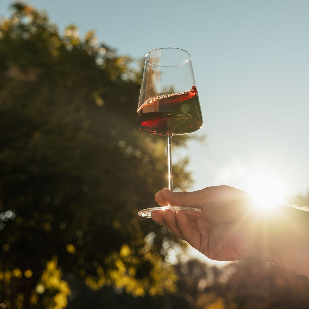 Bordeaux Power Glass 650ml - Stölzle Lausitz - 5602737105086