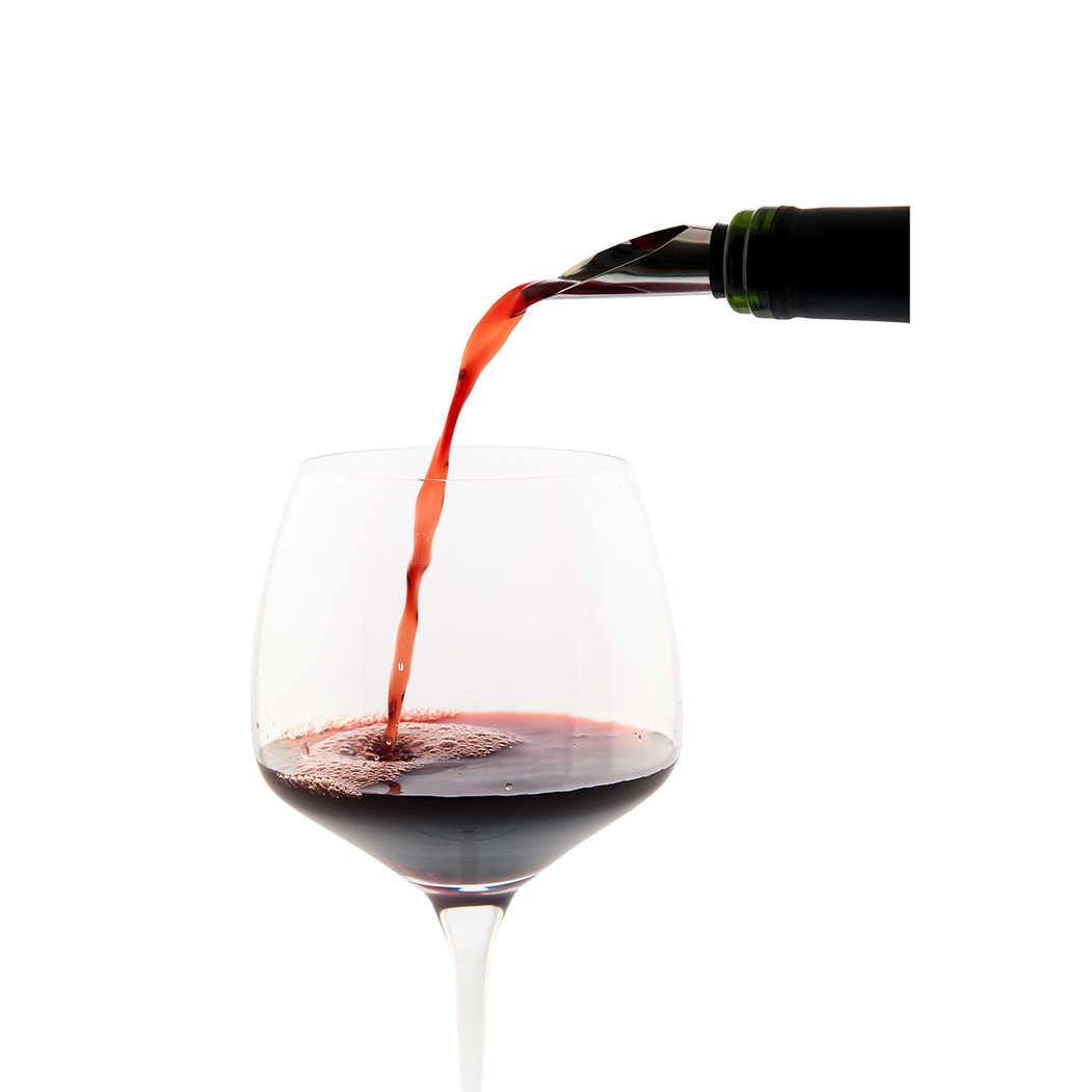 Anti-drip Wine Pourer with stopper, Stainless Steel - Koala - 8436040969885